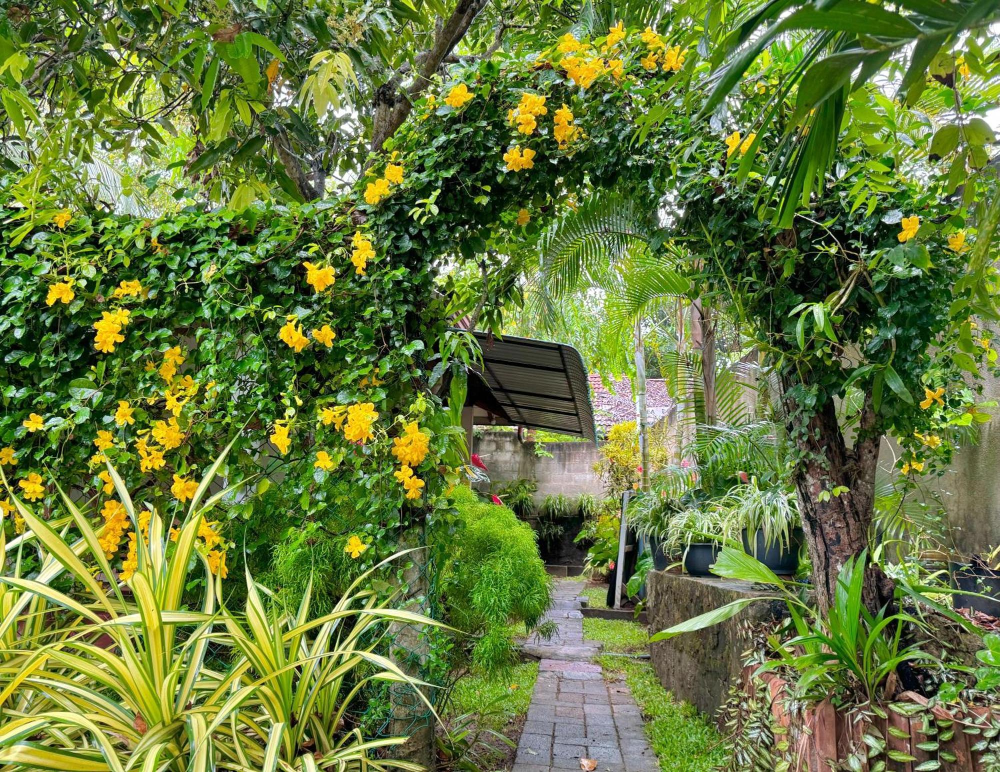 Nethmi Homestay & Restaurant タンガラ エクステリア 写真