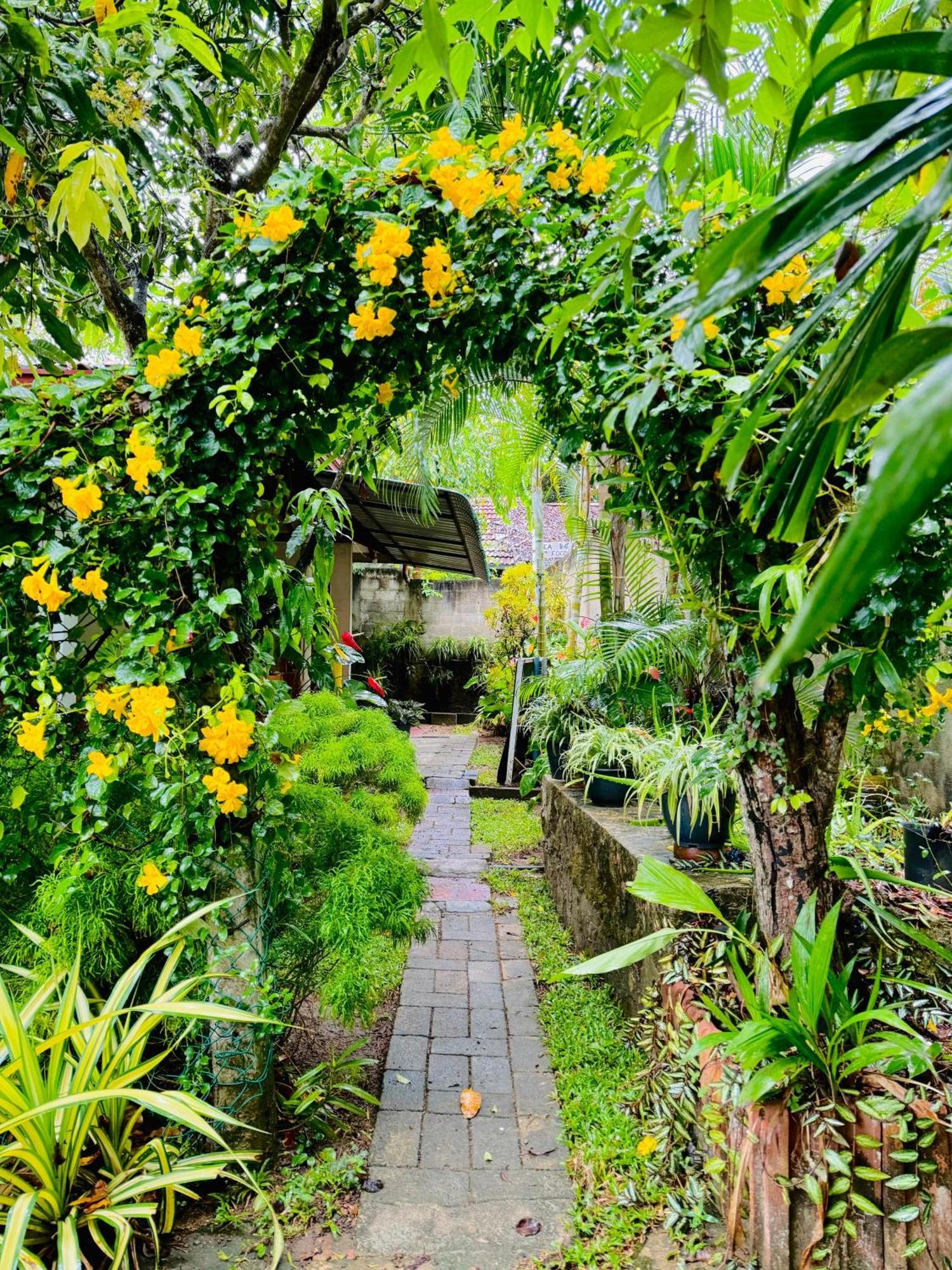 Nethmi Homestay & Restaurant タンガラ エクステリア 写真