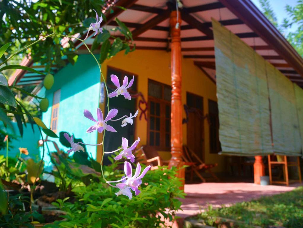 Nethmi Homestay & Restaurant タンガラ エクステリア 写真