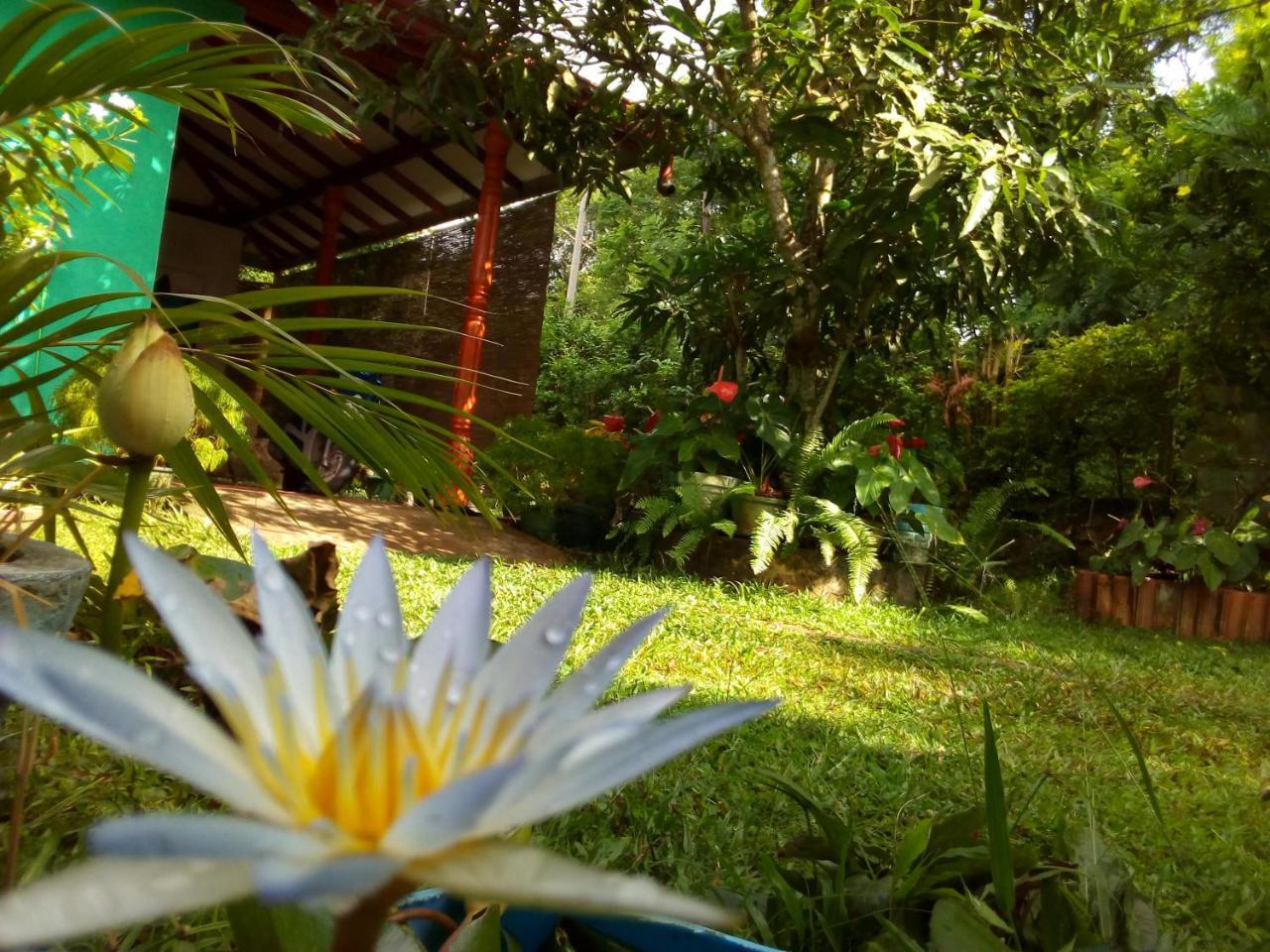 Nethmi Homestay & Restaurant タンガラ エクステリア 写真