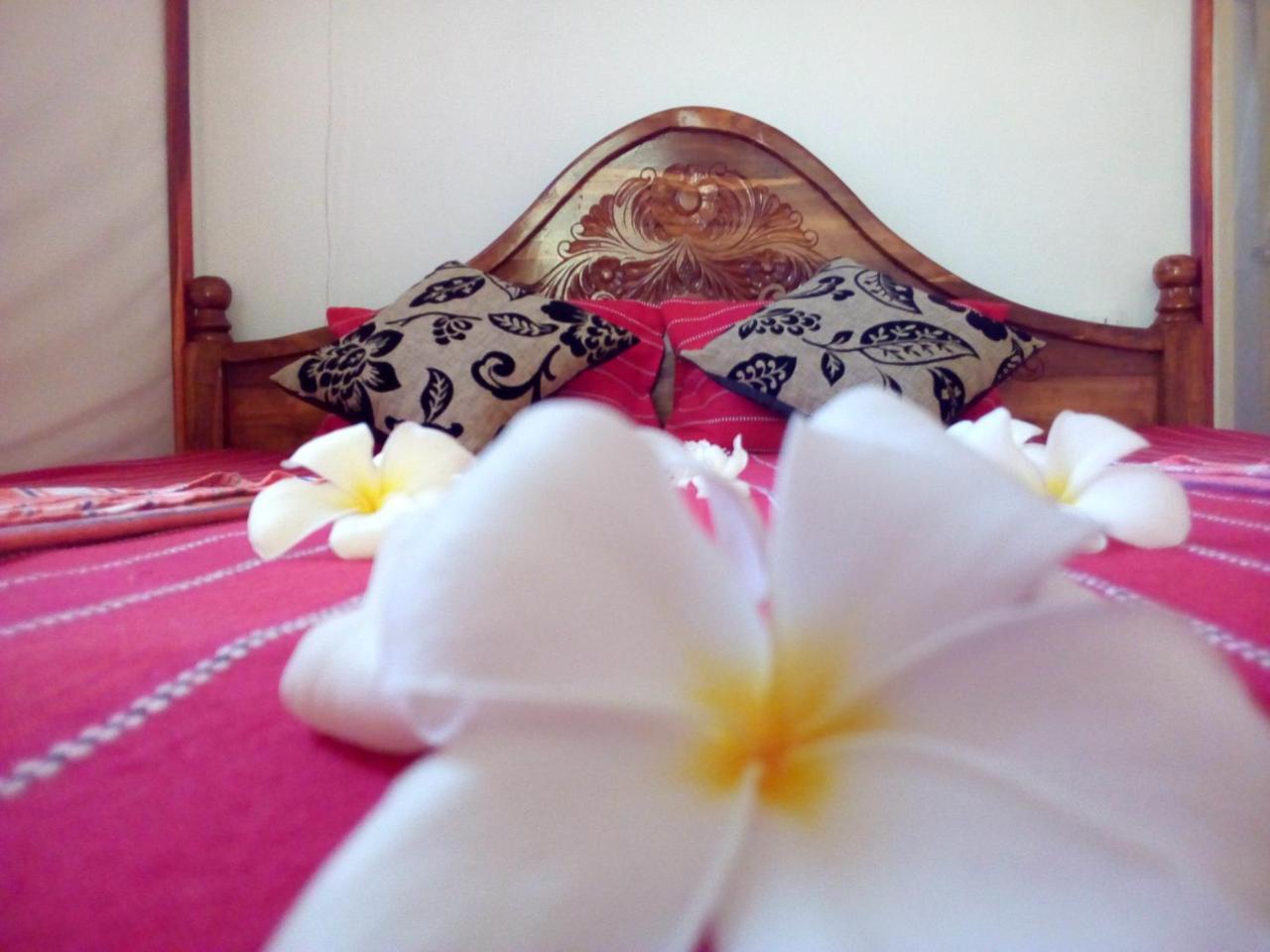 Nethmi Homestay & Restaurant タンガラ エクステリア 写真